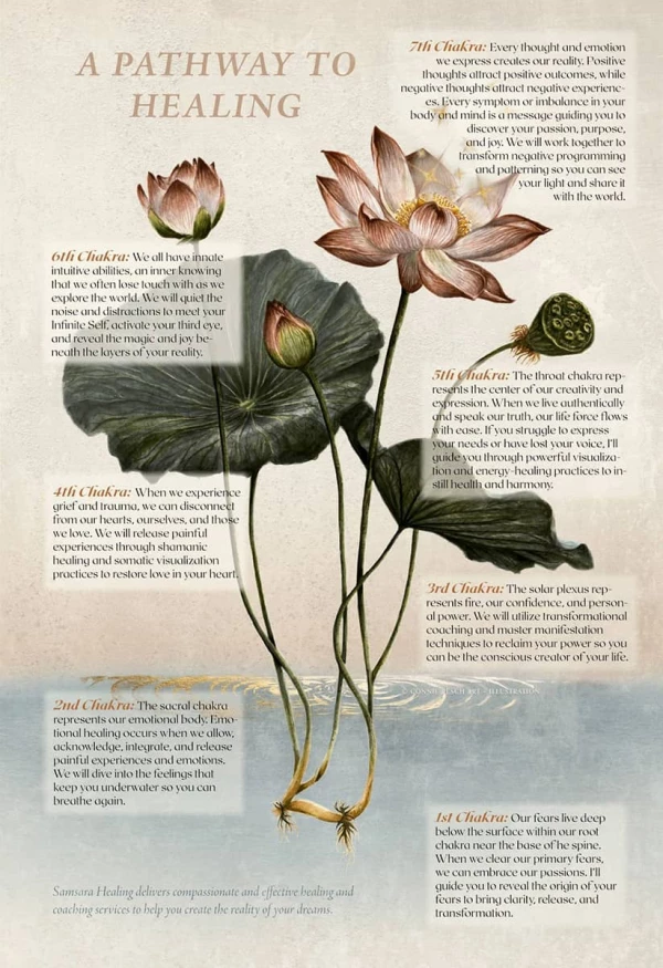 Botanical rendering of the lotus flower, from petals to root. Illustration by Connie Resch, Nature, 