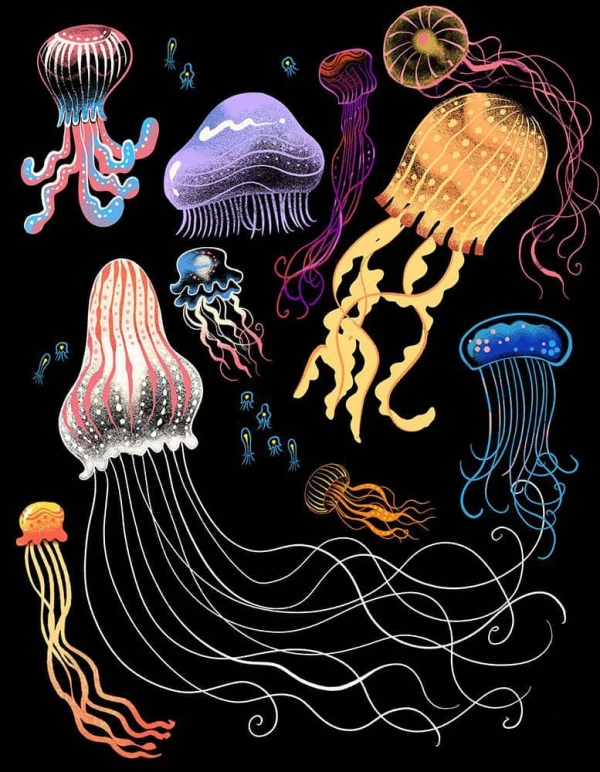 Illustration of various, multicolored jellyfish. Illustration by Dominique Ramsey, Nature, Decorative, 