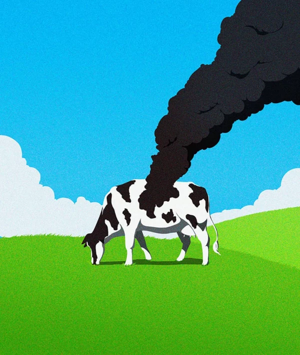 Illustration of a Holstein cow whose black spot is emitting a dark cloud. Illustration by Keith Lee, Conceptual, Nature, 