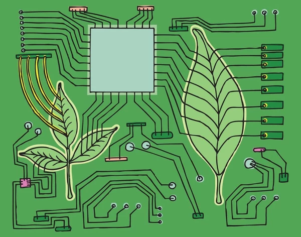 Illustration of a circuit board with leaves. Illustration by Sarah Cohn, Conceptual, Lifestyle, Business, 